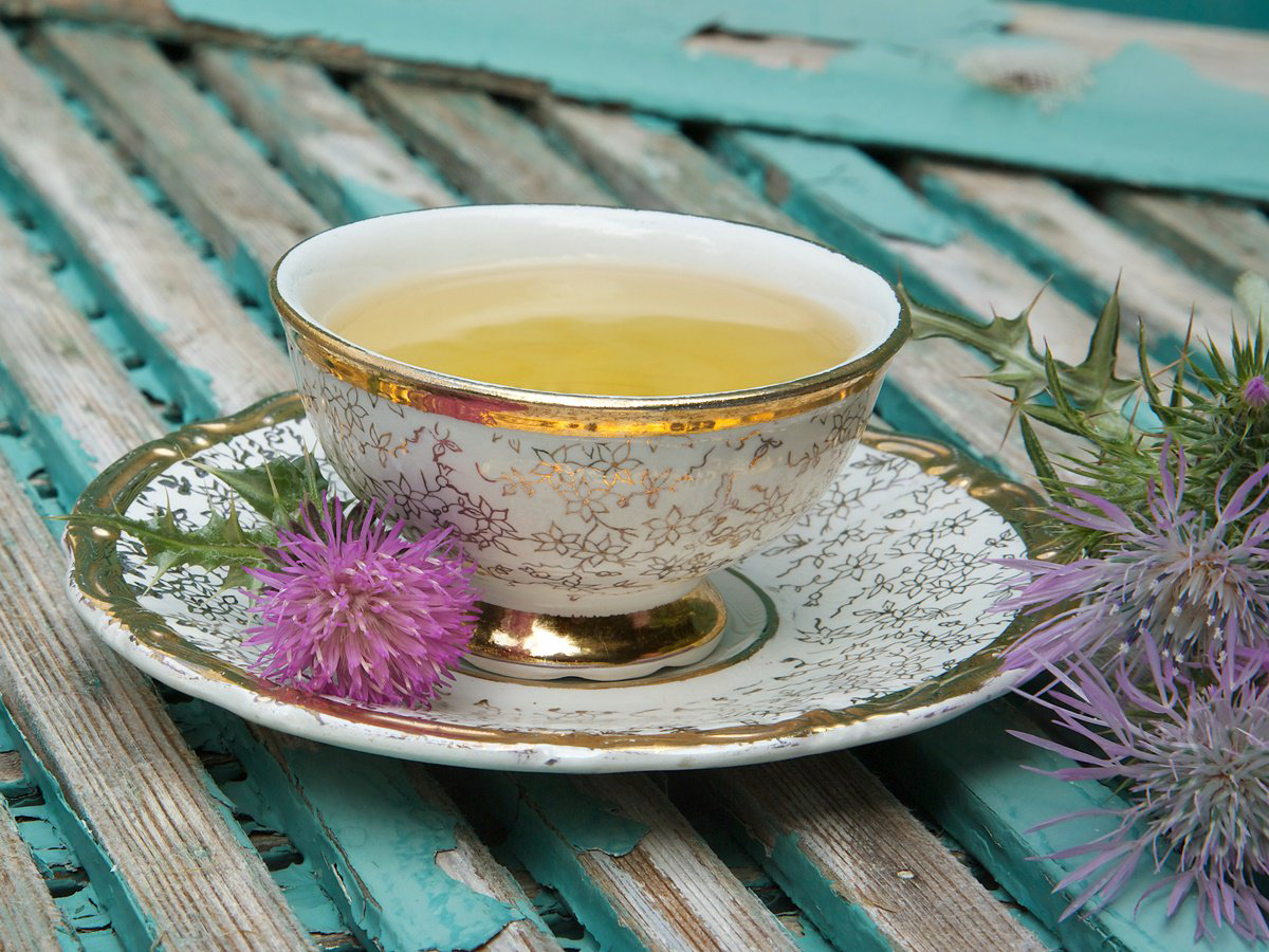 Introduction And History Of Milk Thistle Tea
